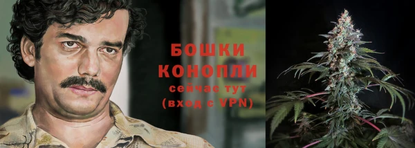 ешки Алзамай