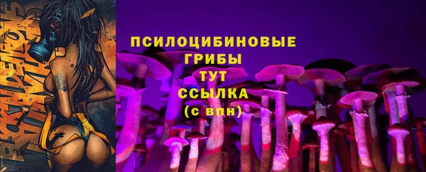 мескалин Алексин